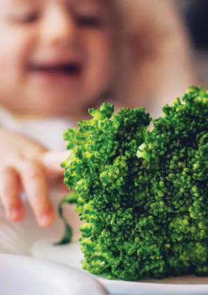 Studiu: Sugarii vegani cresc similar cu cei din familii omnivore