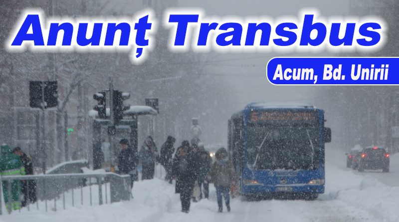 Traseele cu probleme ale Tranbus Buzău: autobuzele circulă normal pe rute orășenești