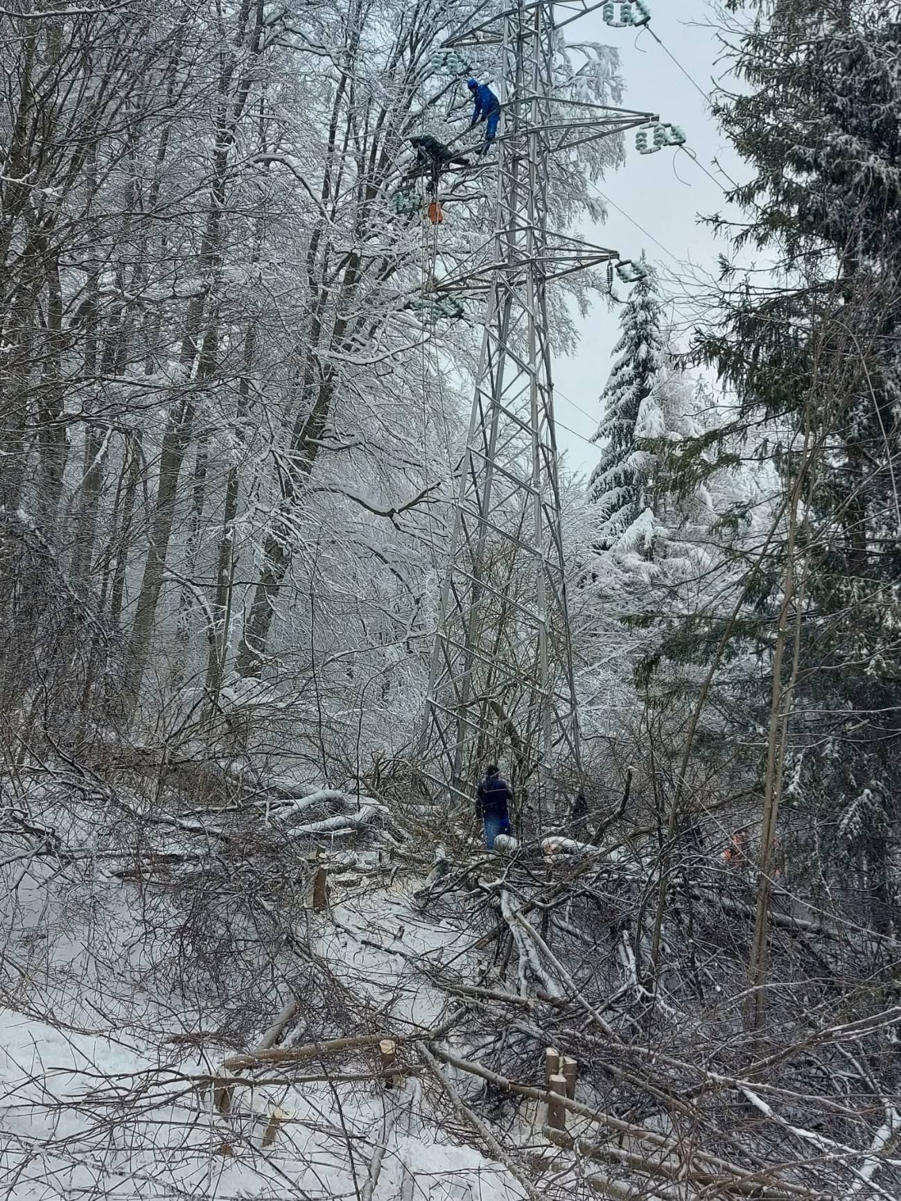 Ninsorile afectează grav rețelele electrice din Dâmbovița