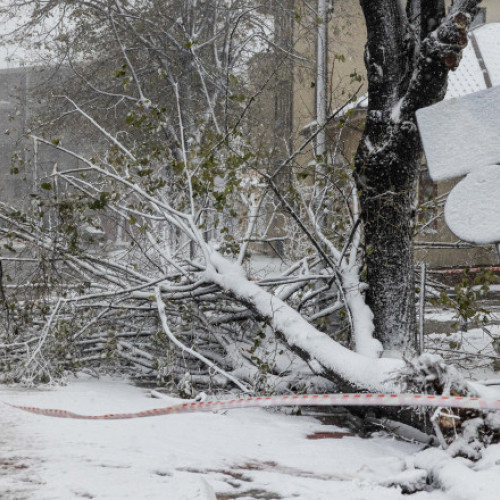 ANM anunță cod galben și portocaliu de ninsori și viscol în mare parte din țară