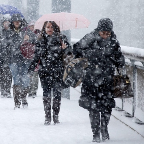 Ninsoarea afectează 3.443 de elevi în județul Neamț