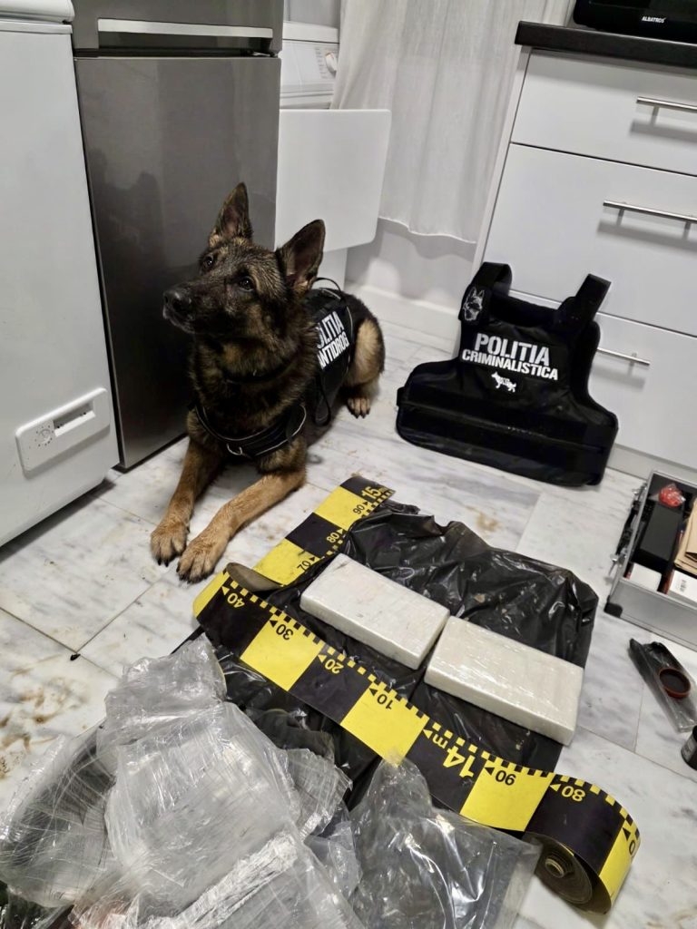 Patru persoane reținute pentru trafic de droguri de mare risc în Pitești