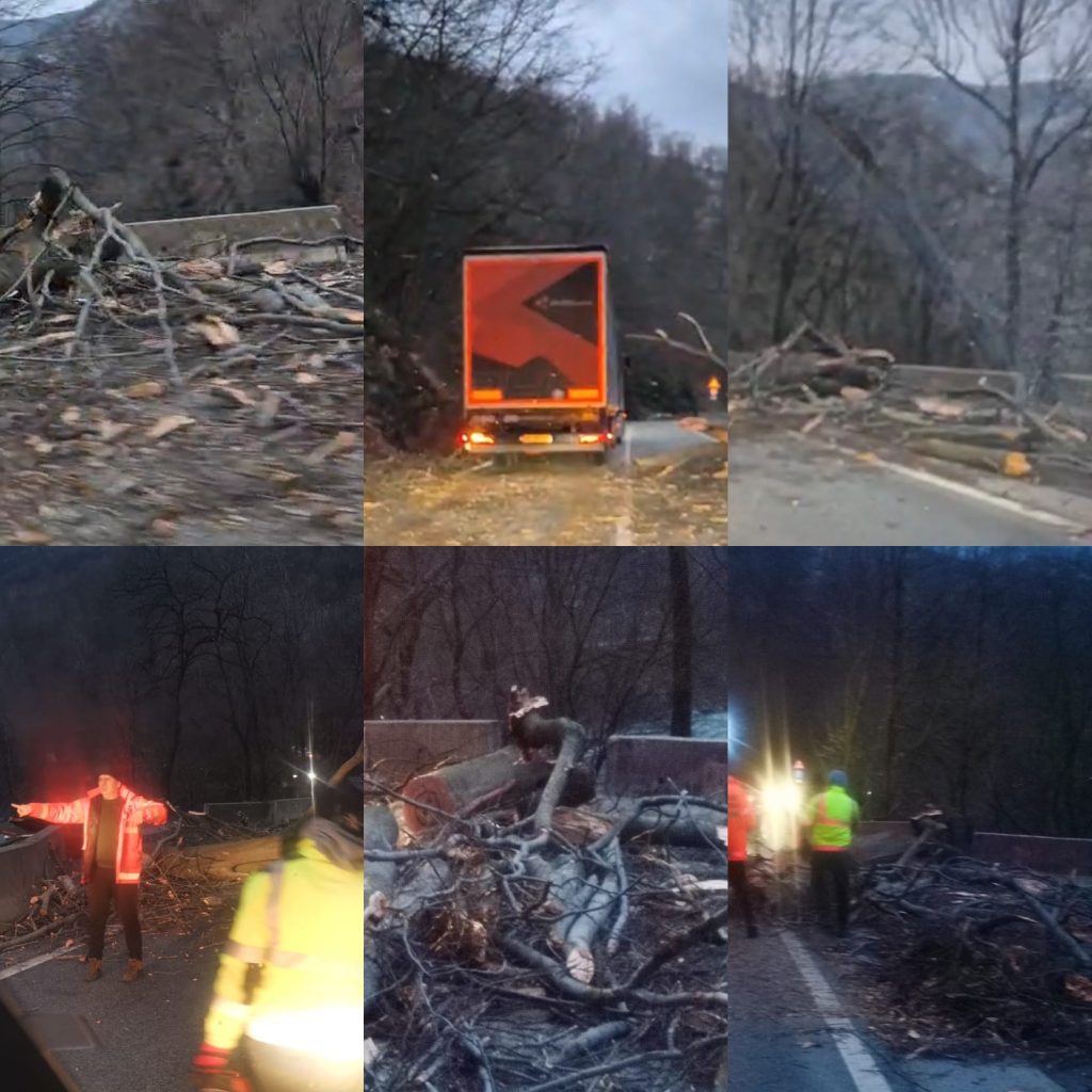 Copaci căzuți blochează circulația în Defileul Jiului