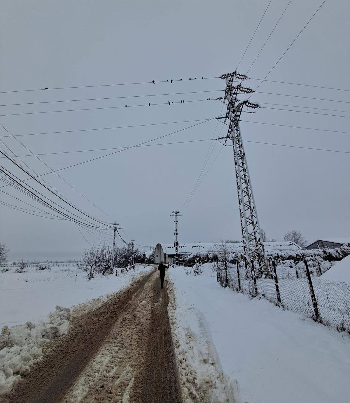 Condițiile meteo extreme afectează grav rețelele de electricitate