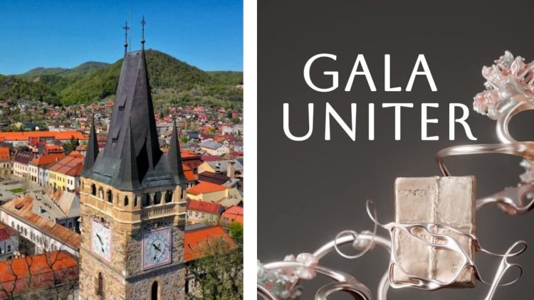 Povestea care scoate la iveală nepăsarea comunității din Baia Mare