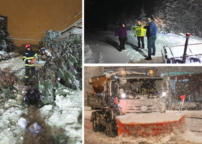 Nouă măsuri pentru protecția mediului în România