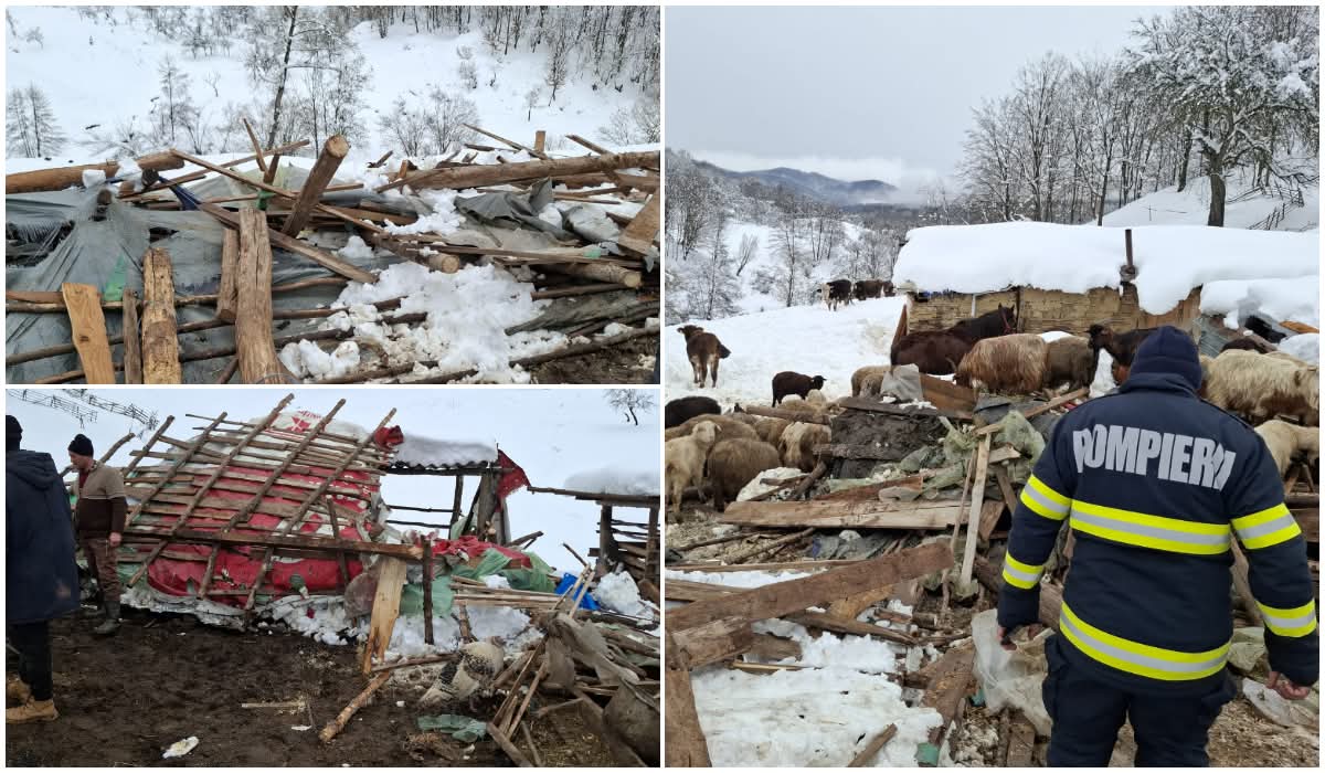 Misiune de salvare a animalelor în Buzău, după prăbușirea unui saivan