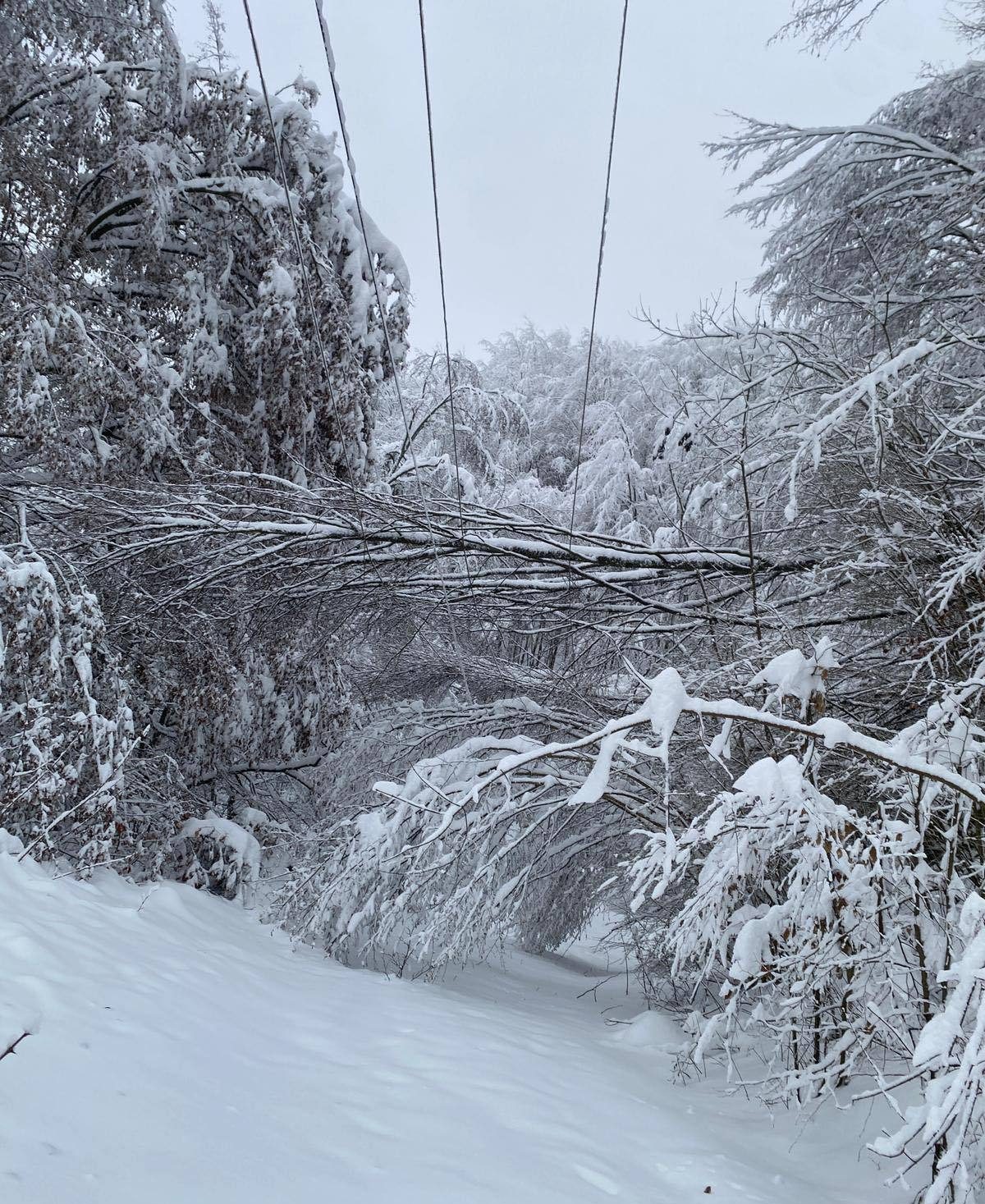 Gospodării din Dâmbovița rămân fără energie electrică după fenomene meteo severe