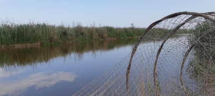 Termenele pentru apelurile de proiecte în acvacultură sunt prelungite
