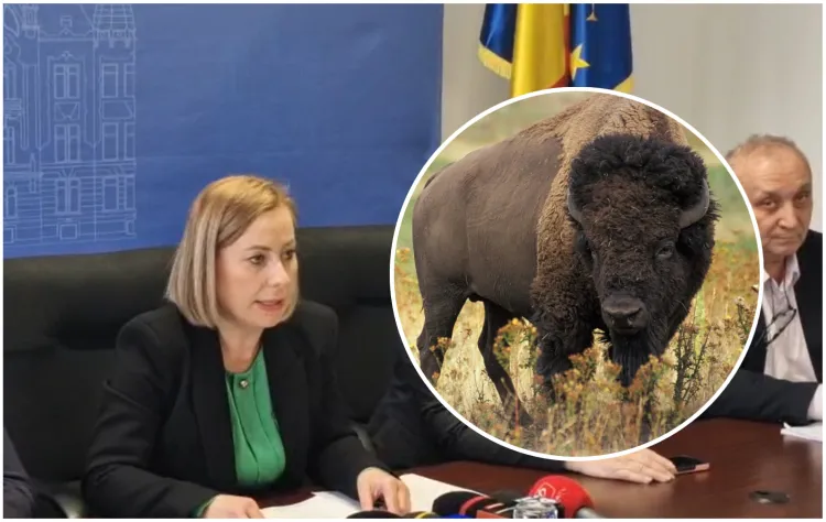 Prefectul Clujului, măsuri stricte după descoperirea a 214 animale moarte