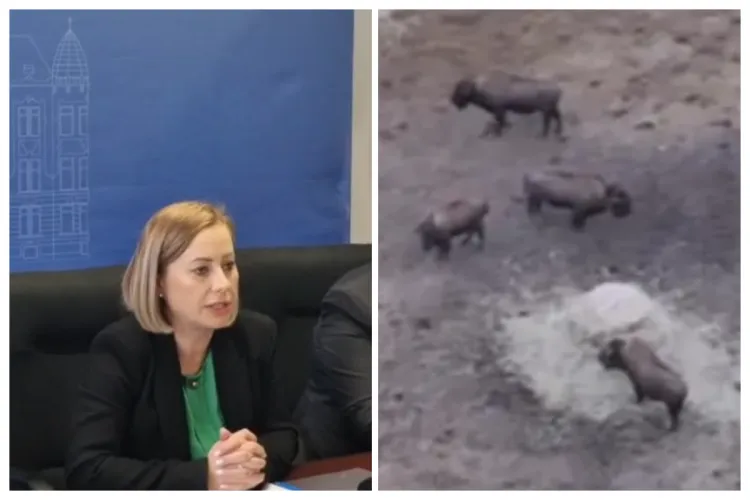 Scandal la „Ferma Groazei” din Recea Cristur, cu sute de animale moarte