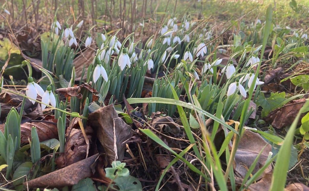 Weekend cu variații mari de temperatură în Alba, între 20-22 februarie