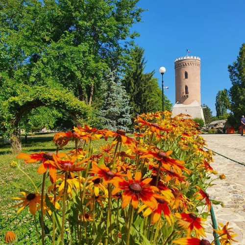 Cu ocazia Zilei Internationale a Femeii, muzeul din Targoviste gazduieste un cadou cultural pentru doamne si domnisoare: intrare gratuita la muzeele din oras!