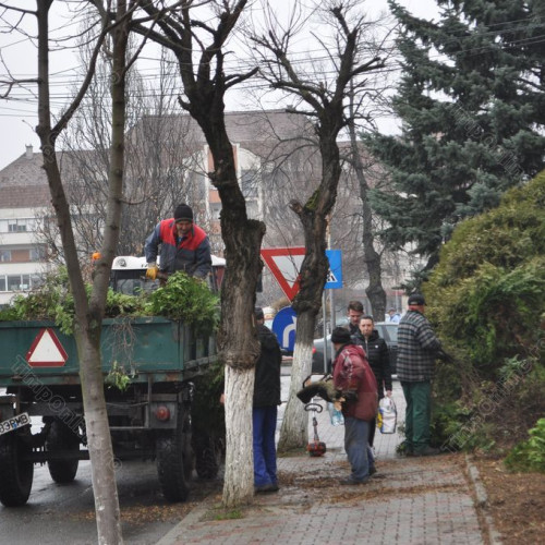 Primăria Bistrița va achiziționa utilaje noi pentru salubrizare și întreținere