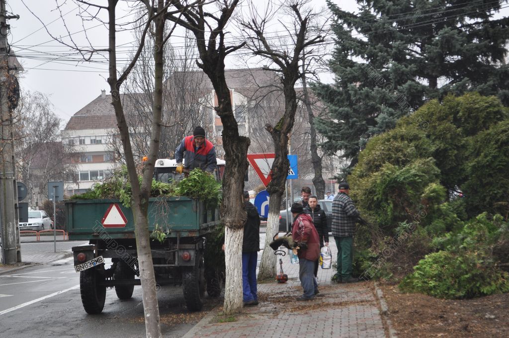 Primăria Bistrița va achiziționa utilaje noi pentru salubrizare și întreținere