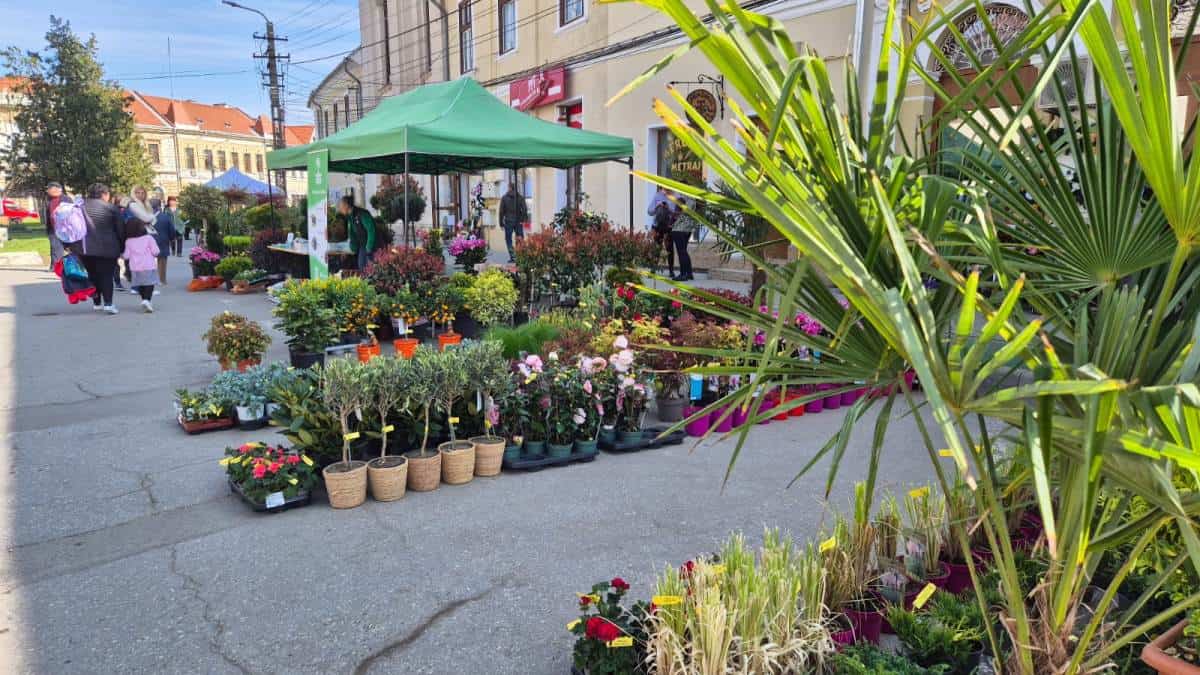 A doua ediție a PlantFest Aiud se va desfășura în martie 2026