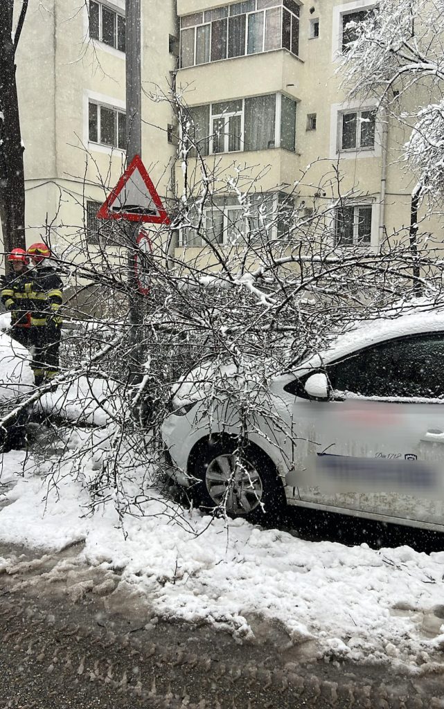 Pompierii din Argeș intervin pentru a proteja populația în vreme rea