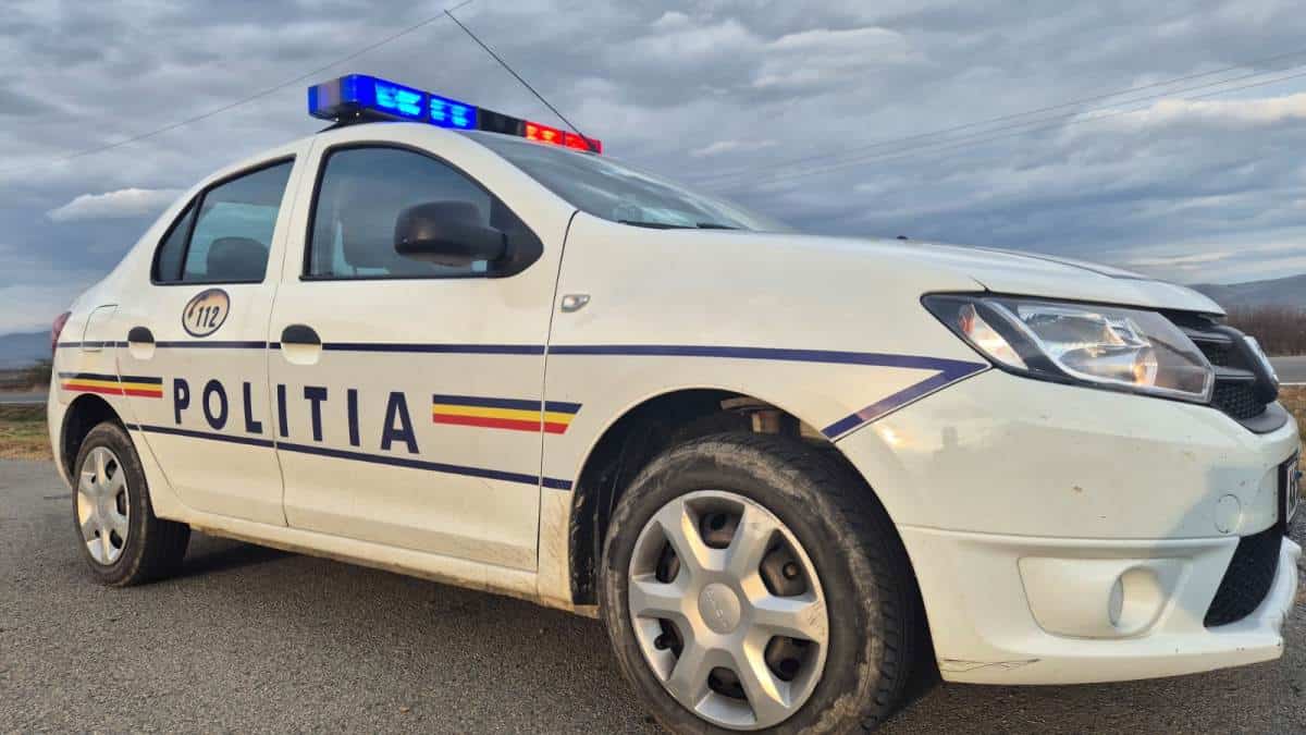 Doi tineri reținuți pentru conducere sub influența alcoolului în Alba Iulia