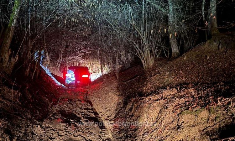 Polițiștii de frontieră din Maramureș confiscă 24.000 de pachete de țigări duty-free