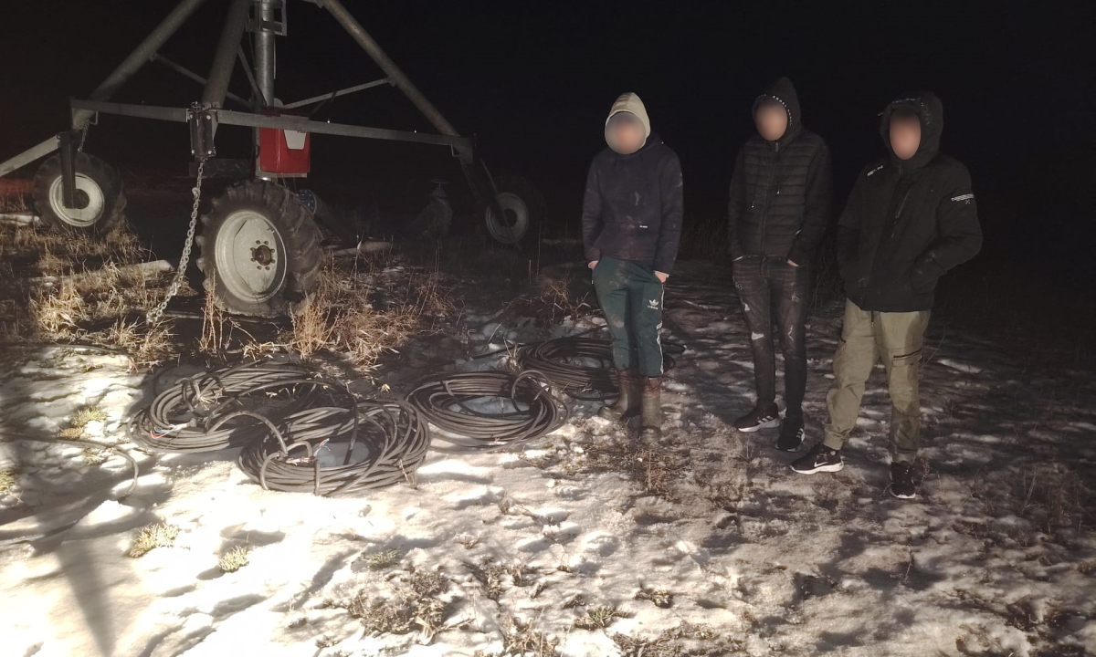 Trei tineri din Botoșani, prinși în flagrant tăind cabluri de irigație