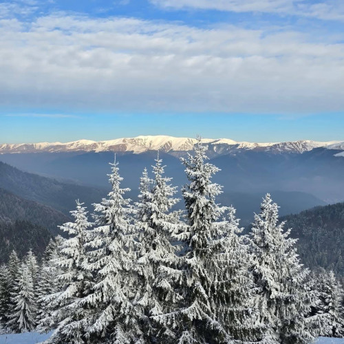 Tariful de vizitare a Parcului Natural Bucegi se poate plăti online