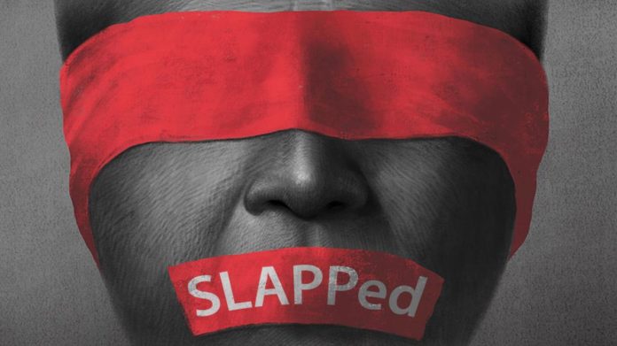 Alertă internațională privind hărțuirea judiciară a jurnalistei Brîndușa Armanca