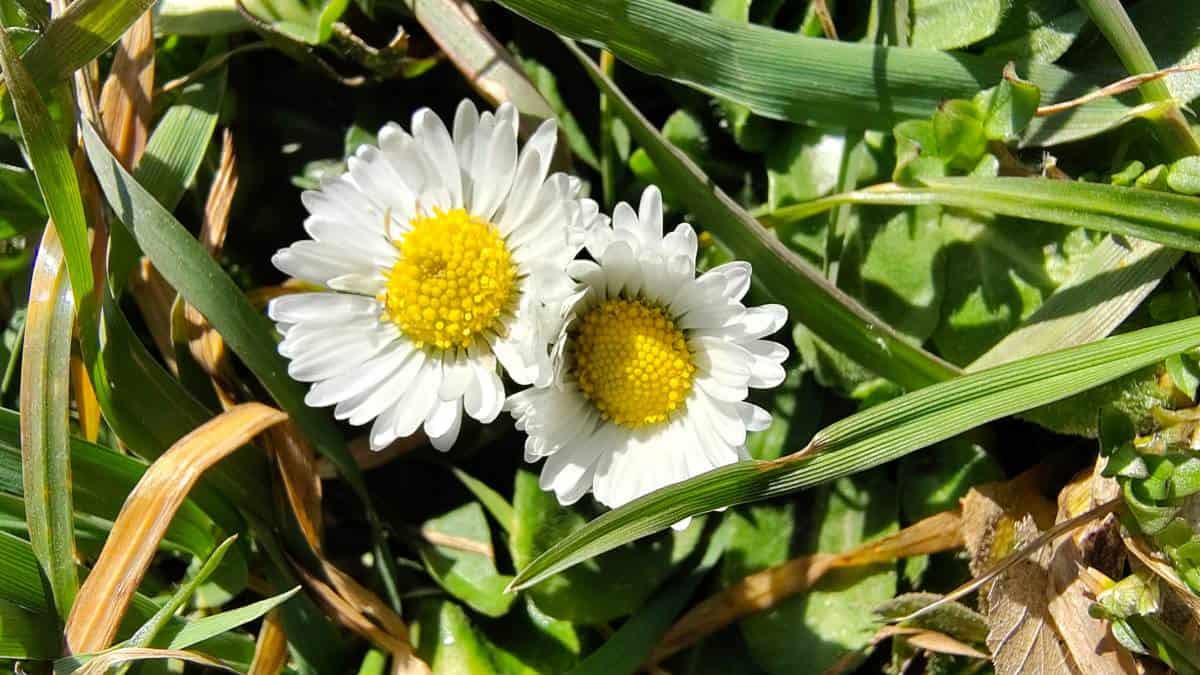 Prognoza meteo până pe 23 martie: Temperaturi variate în întreaga țară