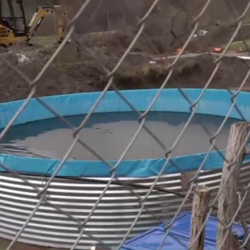 Preot din Dolj amendat cu 10.000 de lei pentru păstrăvărie ilegală