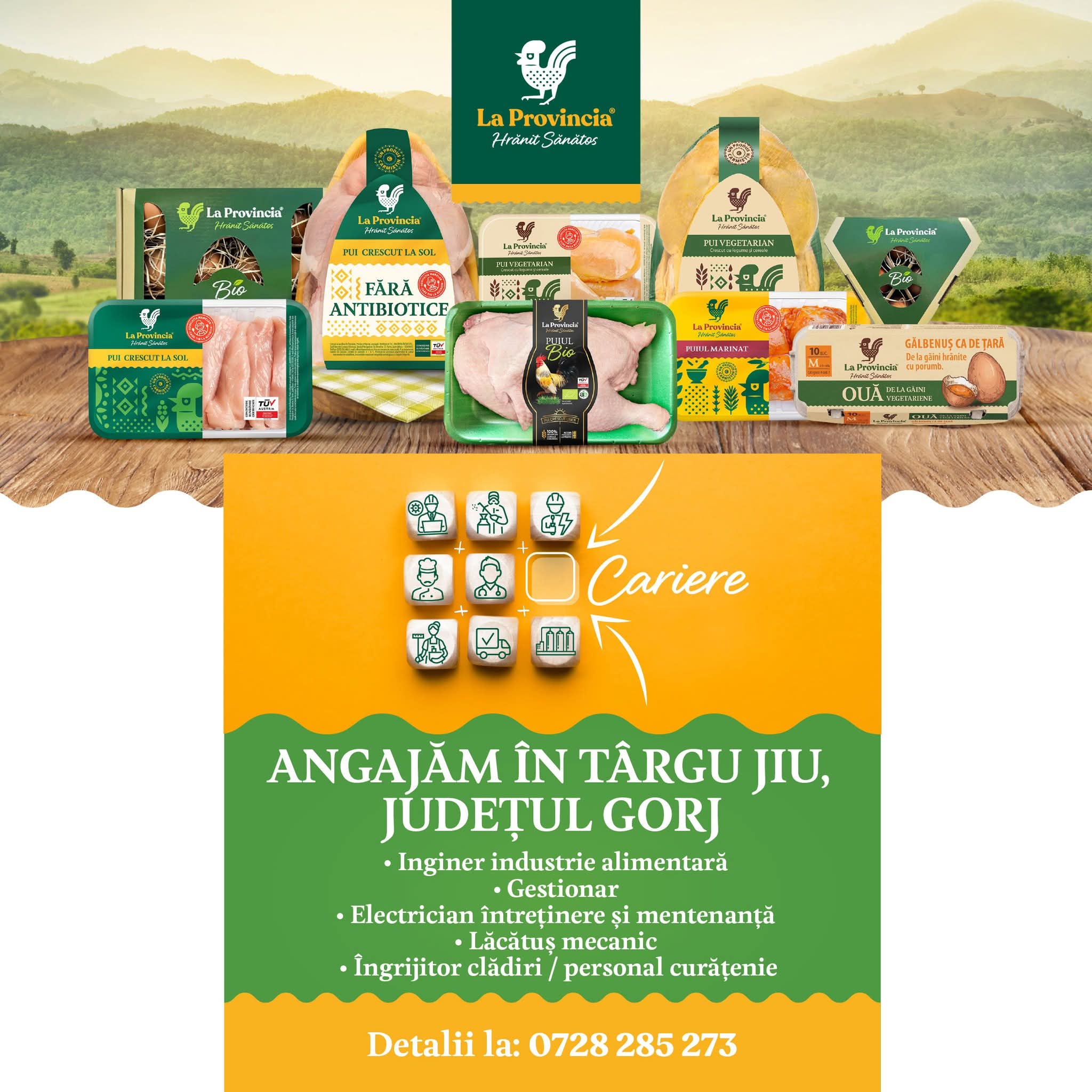 Grupul LaProvincia din Târgu Jiu angajează pe diverse poziții