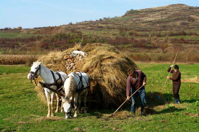 Senatul adoptă legislația pentru promovarea agroturismului în România