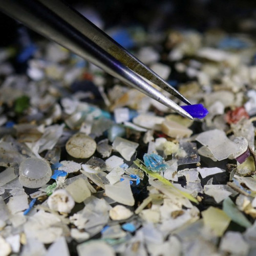 Microplastice găsite în tumori prostatice într-un studiu mic