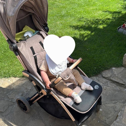 Cărucior furat la Botoșani: Mama cu trei copii cere ajutorul comunității