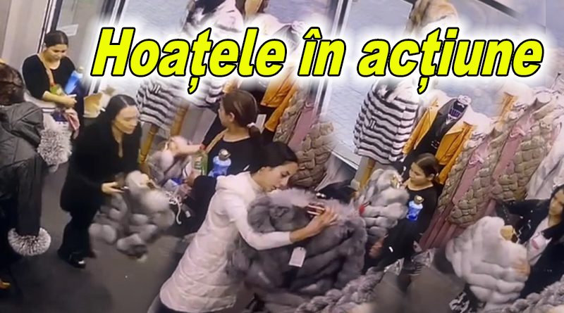 Hoții din Buzău atacă din nou un magazin de blănuri