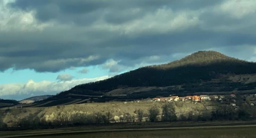 Scăderi semnificative în turism și servicii în 2025