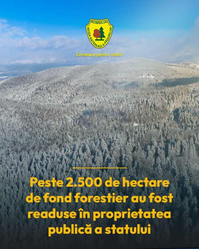 Două mii cinci sute șaptesprezece hectare de pădure reintegrate în proprietatea statului