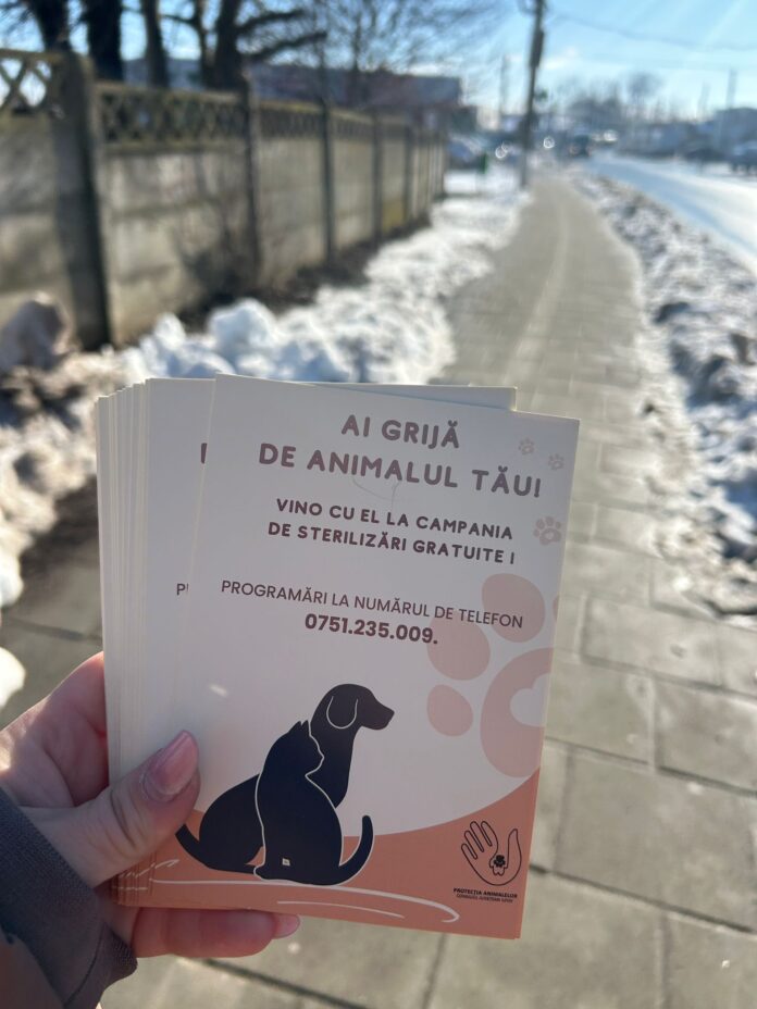 Acțiune de control în Snagov pentru deținerea câinilor