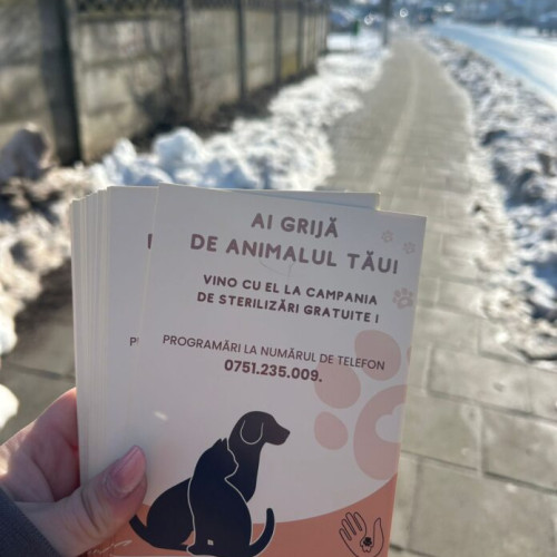 Acțiune de control în Snagov pentru deținerea câinilor