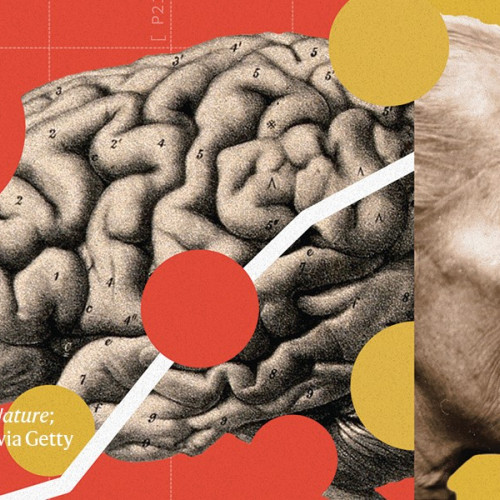 China duce o luptă împotriva Alzheimerului. Ce poate învăța restul lumii din abordarea sa?