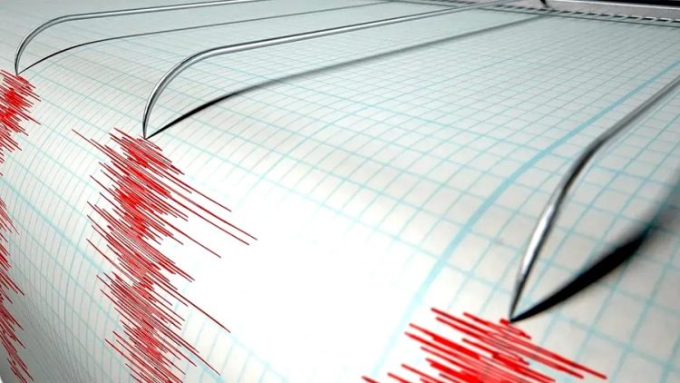 Două cutremure în zona seismică Vrancea, la începutul zilei
