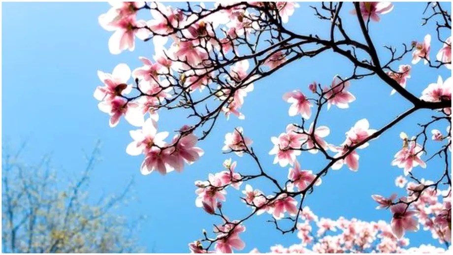 România se pregătește de o încălzire accentuată a vremii