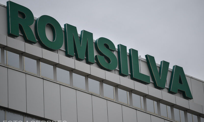 Ministerul Mediului propune noi criterii pentru selecția directorului Romsilva