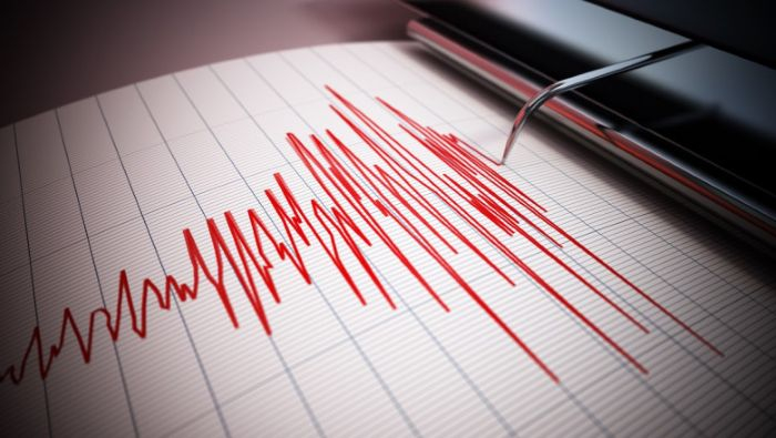 Cutremur mediu în zona seismică Vancea, în această seară