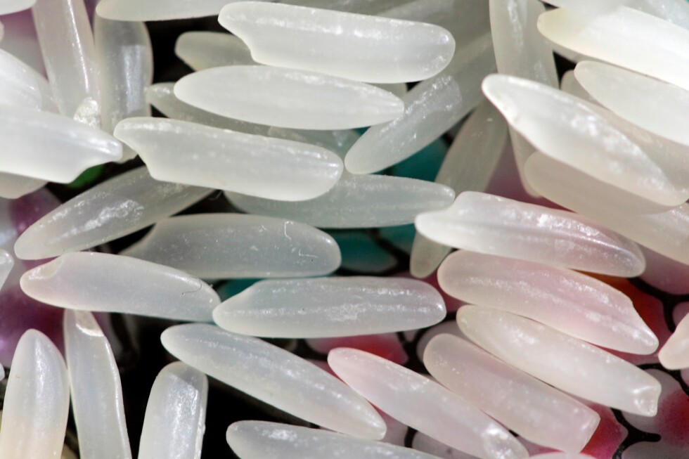 Dacă ai dificultăți în a pierde în greutate, ar putea răcirea carbohidraților să ajute?