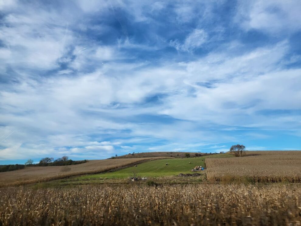 Progres semnificativ în soluționarea dosarelor de fond funciar în 2025