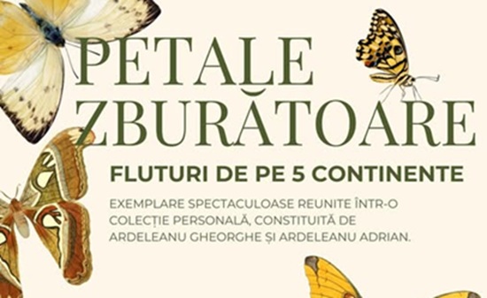 Expoziție impresionantă de fluturi la Muzeul Județean de Mineralogie din Baia Mare