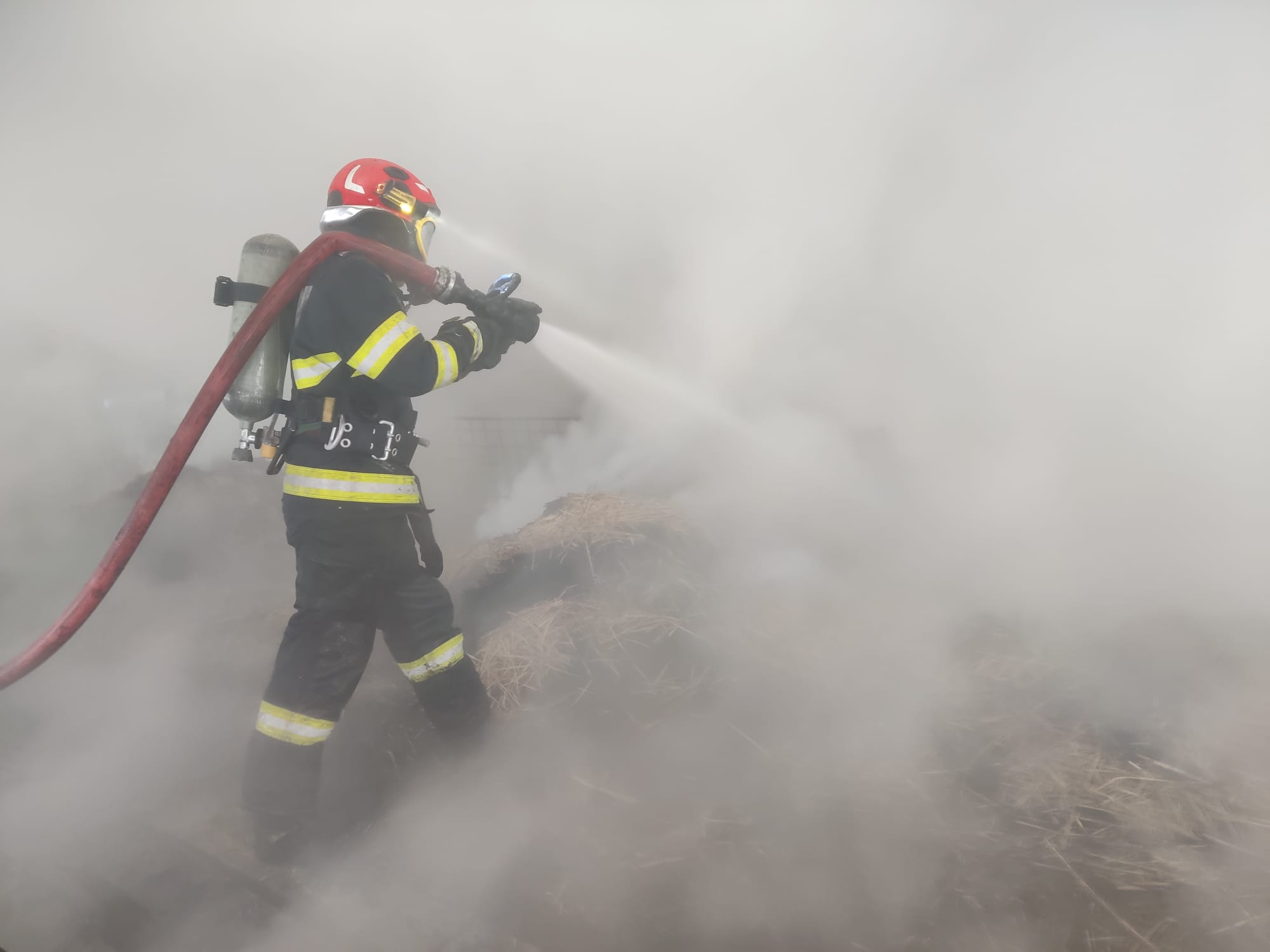 Incendiu la o locuință din Dumbrăvița, intervenția rapidă a pompierilor salvează proprietatea