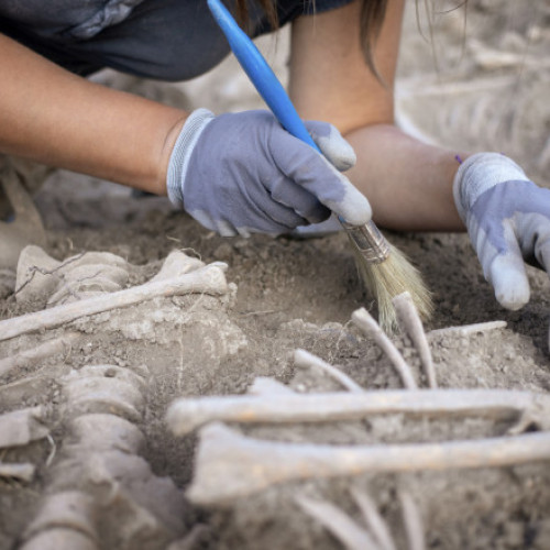 Groapă comună veche de 2.800 de ani descoperită în Serbia