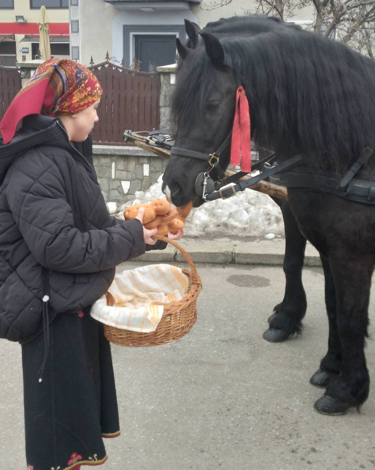 Comunitatea bulgarilor din Târgoviște sărbătorește Tudorița, tradiția Paștele Cailor