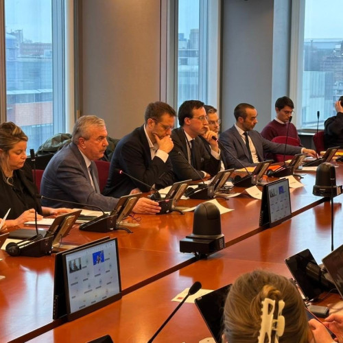 Dan Nica solicită măsuri urgente pentru industria europeană