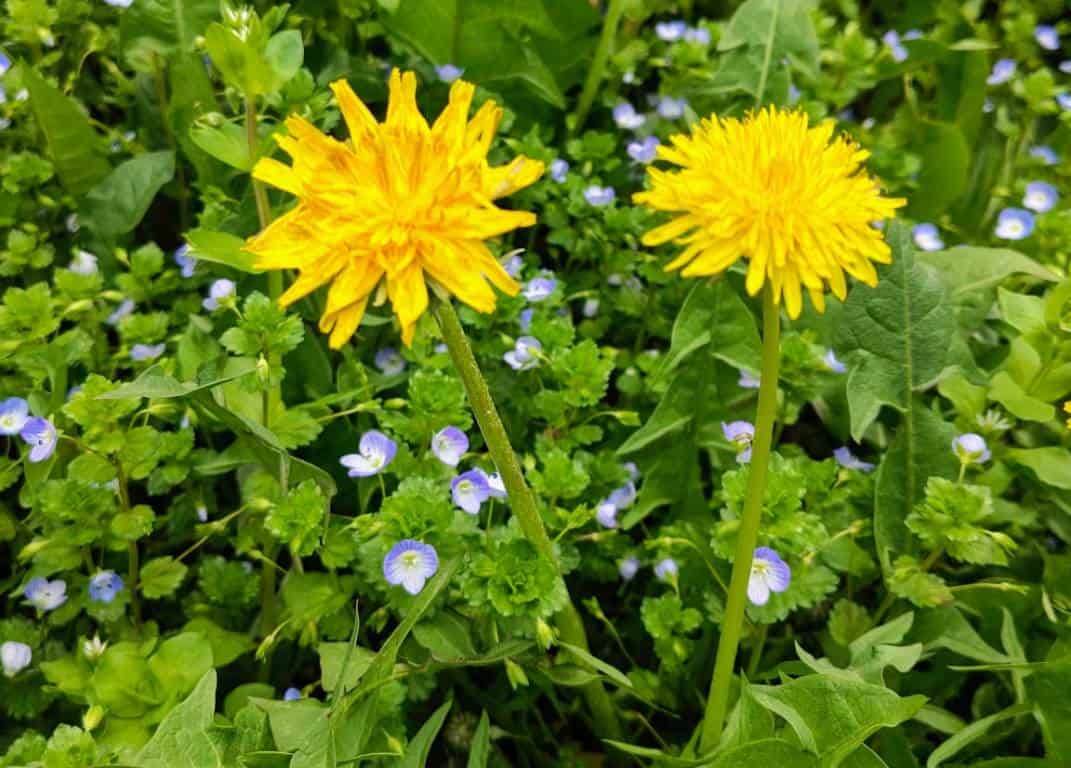 Martie 2026, luna renașterii și a sărbătorilor tradiționale